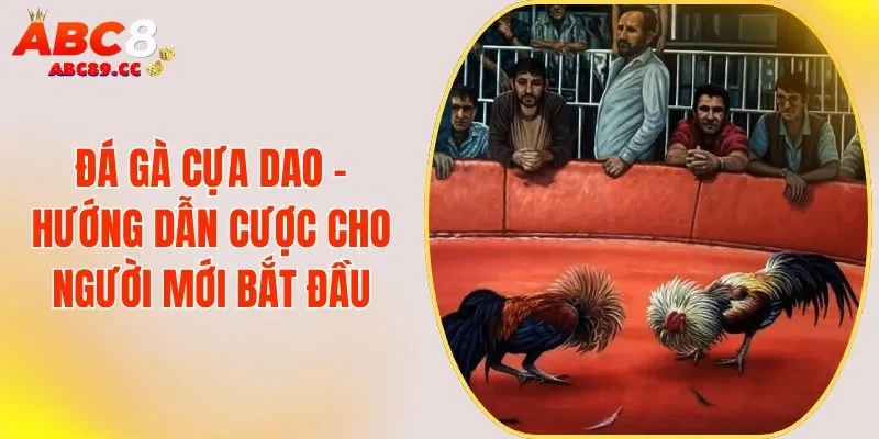 Đá Gà Cựa Dao - Hướng Dẫn Cược Cho Người Mới Bắt Đầu