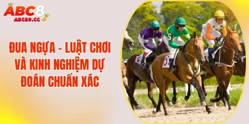Đua Ngựa - Luật Chơi Và Kinh Nghiệm Dự Đoán Chuẩn Xác